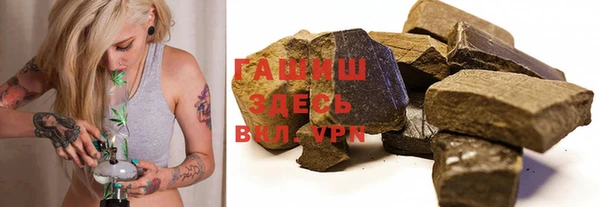 индика Белокуриха
