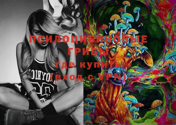 индика Белокуриха