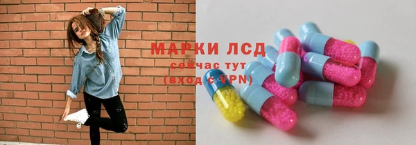 индика Белокуриха