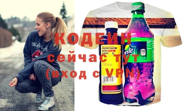 индика Белокуриха