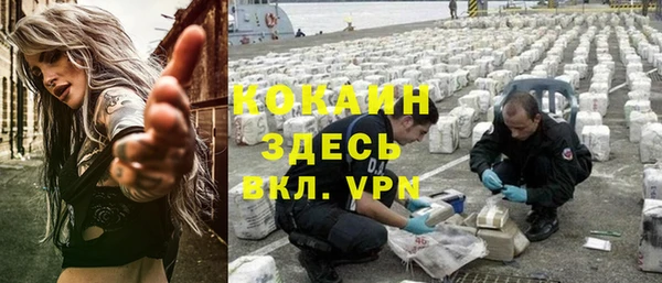 индика Белокуриха