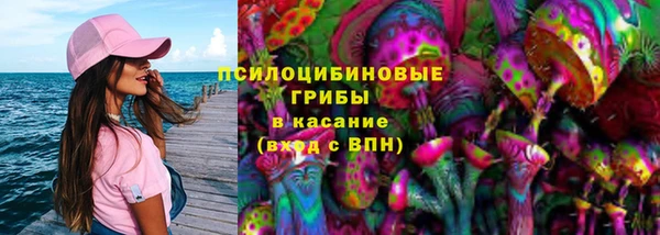 индика Белокуриха