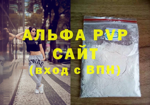 индика Белокуриха