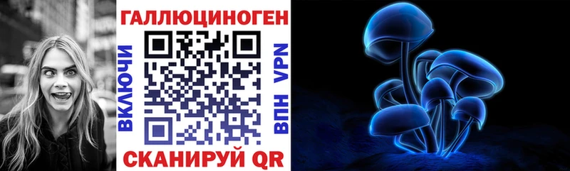 Галлюциногенные грибы Psilocybine cubensis  Семикаракорск 